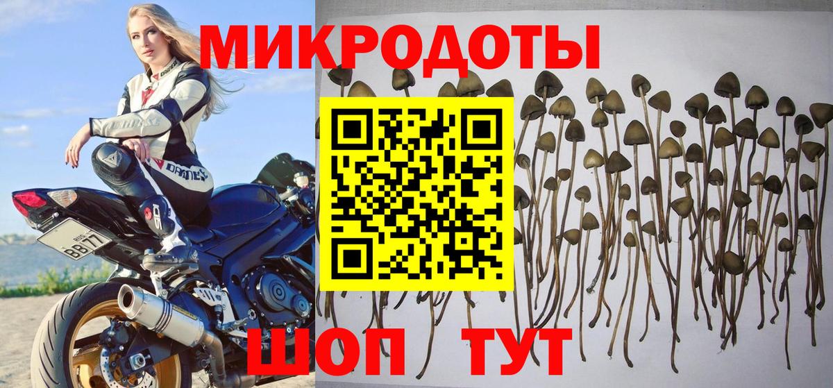 Карталы  Псилоцибиновые грибы мицелий  Галлюциногенные грибы мицелий  как найти   Вход с VPN 