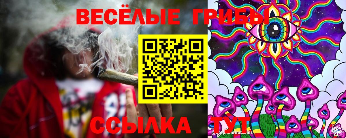 Псилоцибиновые грибы GOLDEN TEACHER Карталы